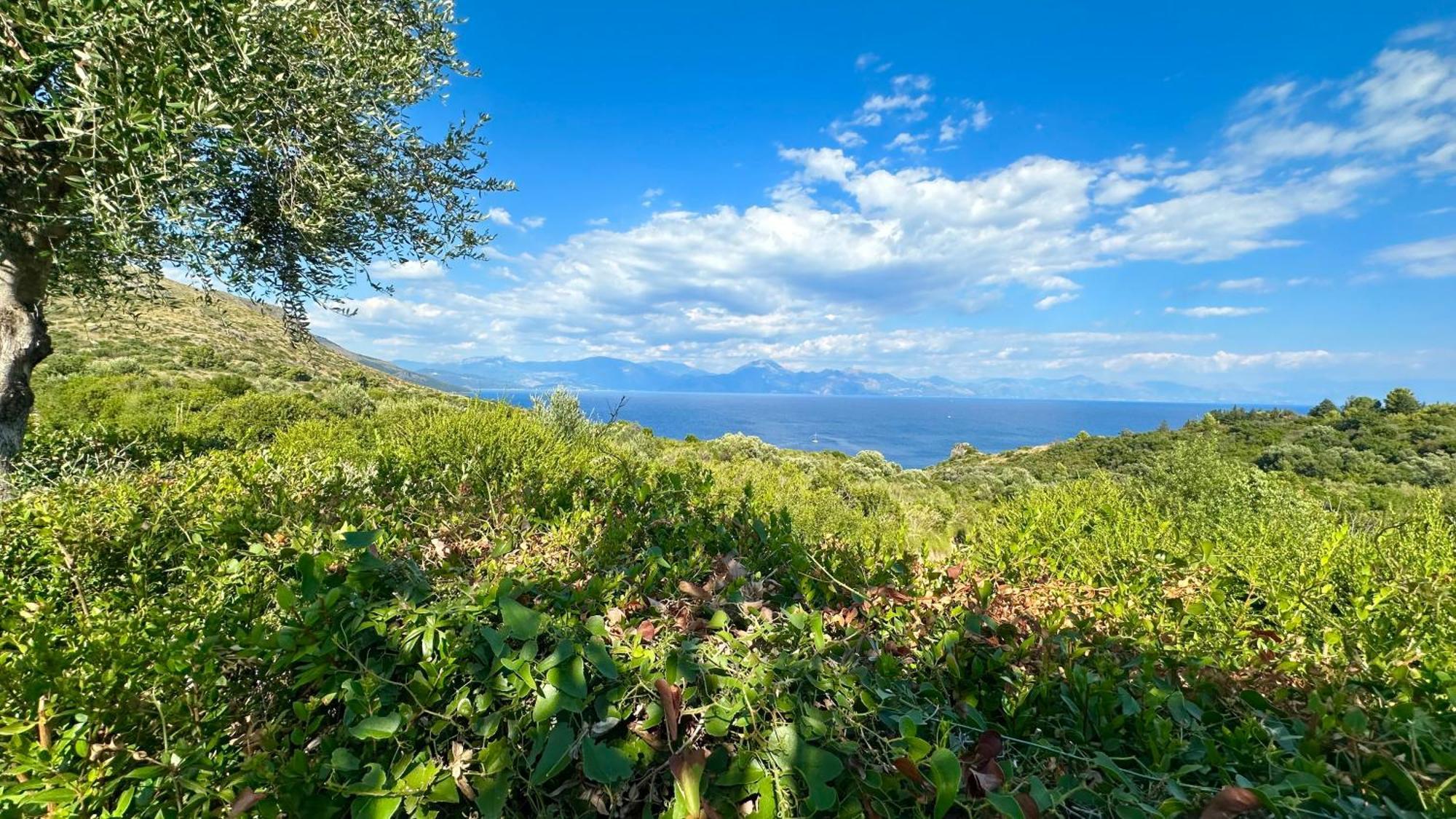 La Casa Di Paolo Casa Di Charme Hotel Marina di Camerota Luaran gambar