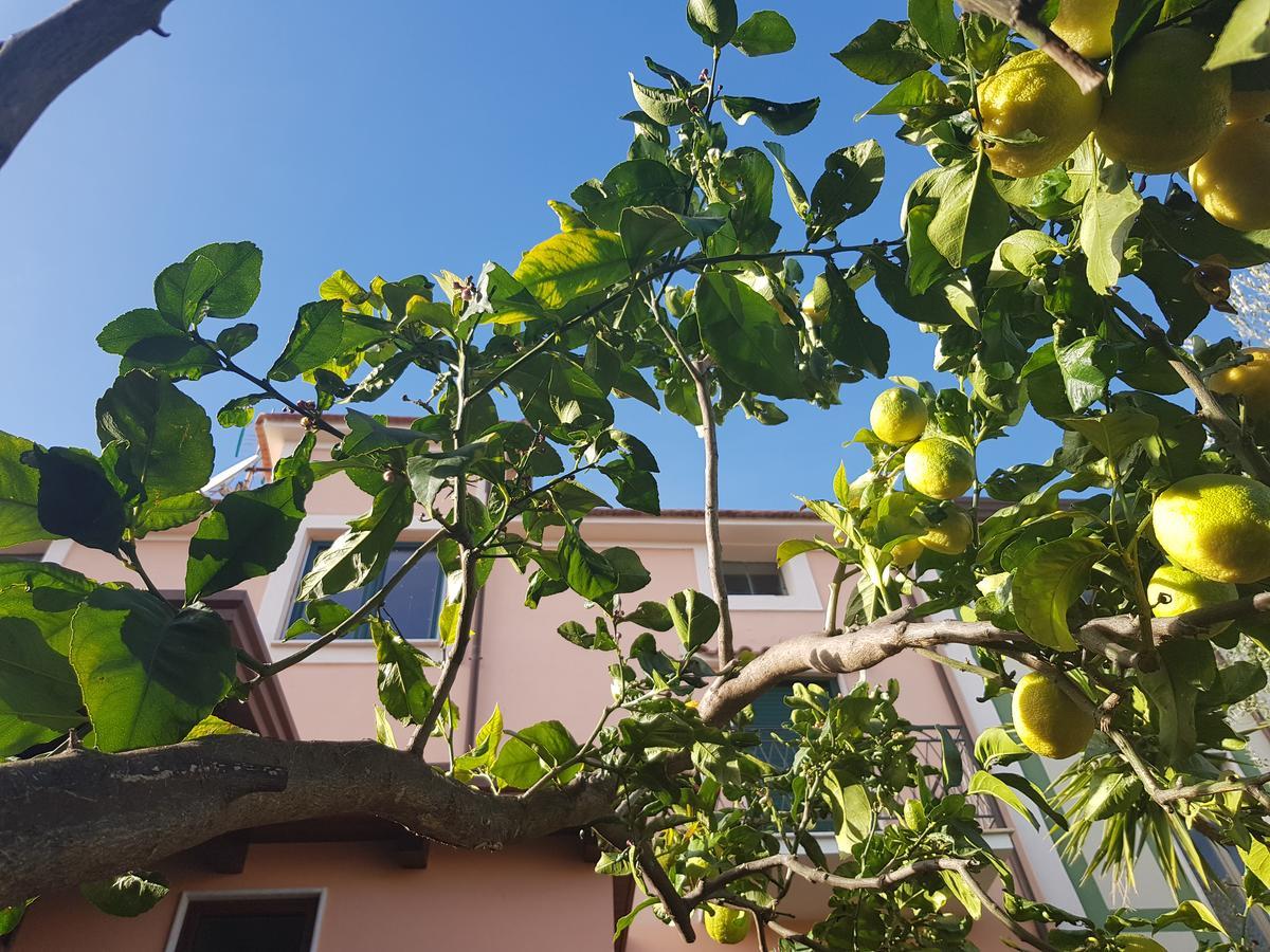 La Casa Di Paolo Casa Di Charme Hotel Marina di Camerota Luaran gambar